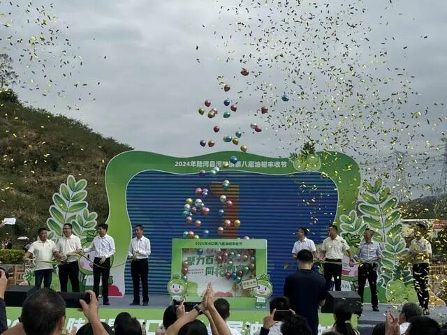 小油柑帶動大致富，汕尾陸河田墩變“甜”墩