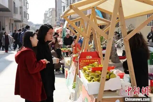 廣東潮州“楊桃盛宴”引來八方客